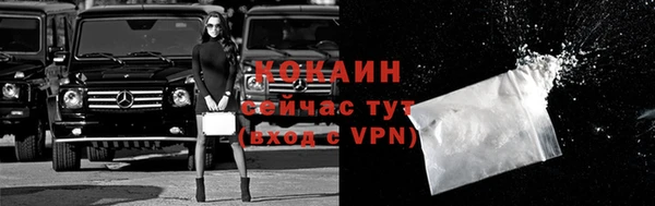 прущие крисы Вяземский