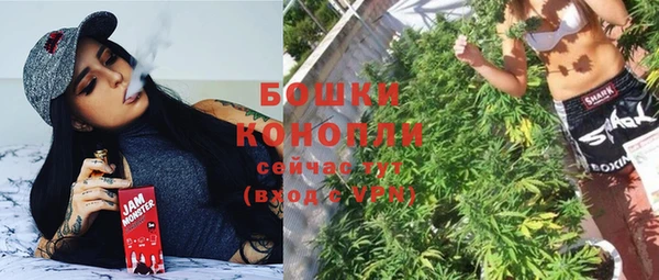 прущие крисы Вяземский