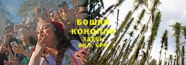 прущие крисы Вяземский