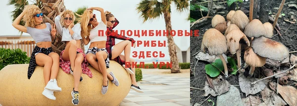 твердый Вязьма