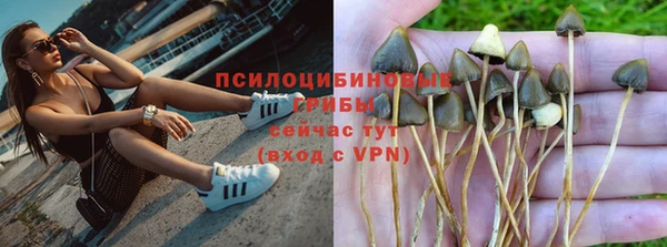 прущие крисы Вяземский